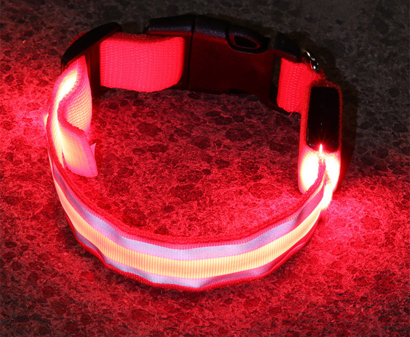 Collar Luminoso LED Anti-Pérdida para Perro - Seguridad y Estilo - nexbuy.com.mx