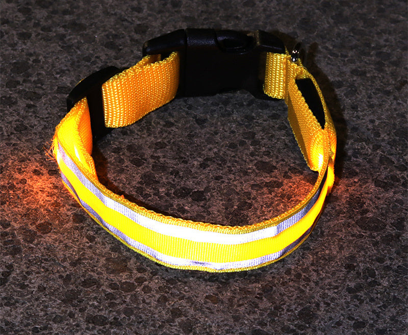 Collar Luminoso LED Anti-Pérdida para Perro - Seguridad y Estilo - nexbuy.com.mx