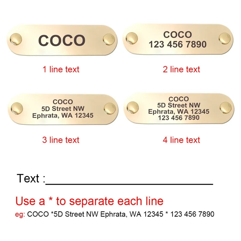 Collares personalizados con placas de identificación para perros medianos y grandes - nexbuy.com.mx
