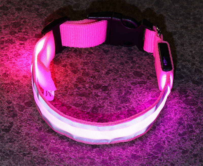 Collar Luminoso LED Anti-Pérdida para Perro - Seguridad y Estilo - nexbuy.com.mx