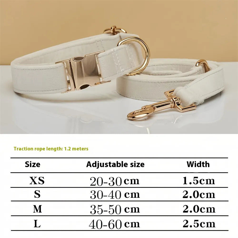 Collar estándar para perro de sujeción manual