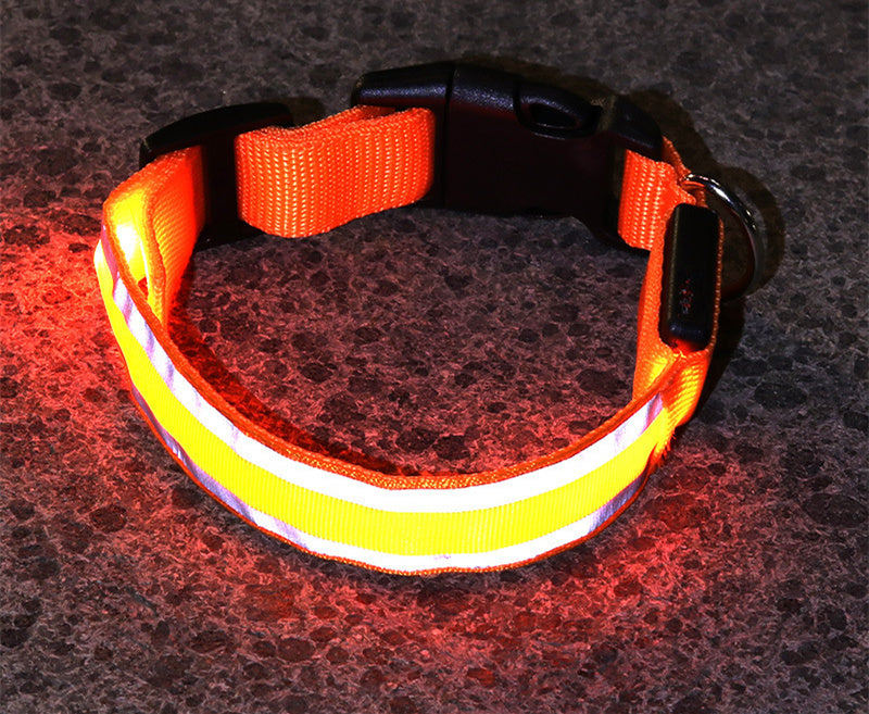 Collar Luminoso LED Anti-Pérdida para Perro - Seguridad y Estilo - nexbuy.com.mx