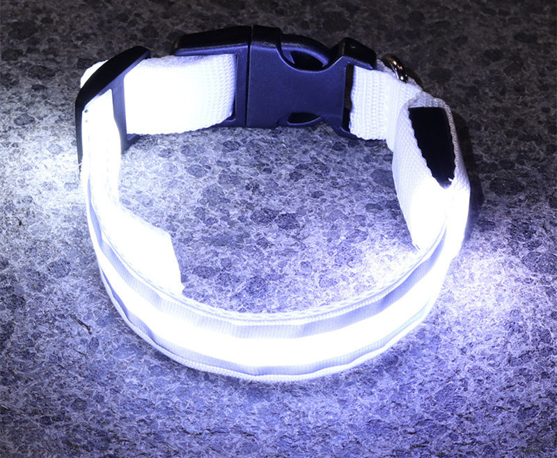 Collar Luminoso LED Anti-Pérdida para Perro - Seguridad y Estilo - nexbuy.com.mx