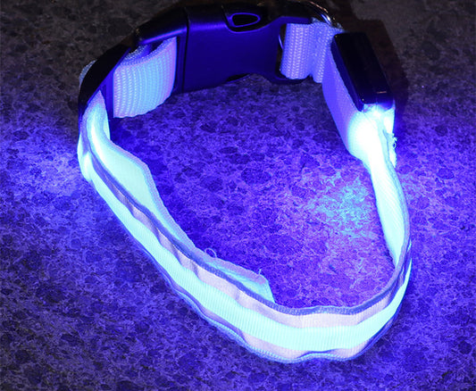 Collar Luminoso LED Anti-Pérdida para Perro - Seguridad y Estilo - nexbuy.com.mx