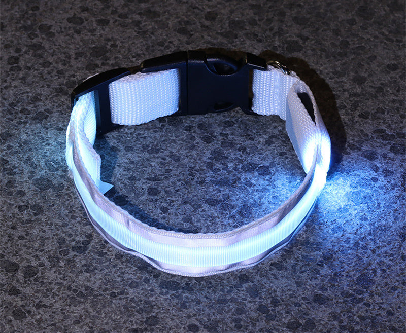 Collar Luminoso LED Anti-Pérdida para Perro - Seguridad y Estilo - nexbuy.com.mx