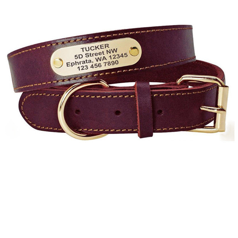 Collares personalizados con placas de identificación para perros medianos y grandes - nexbuy.com.mx