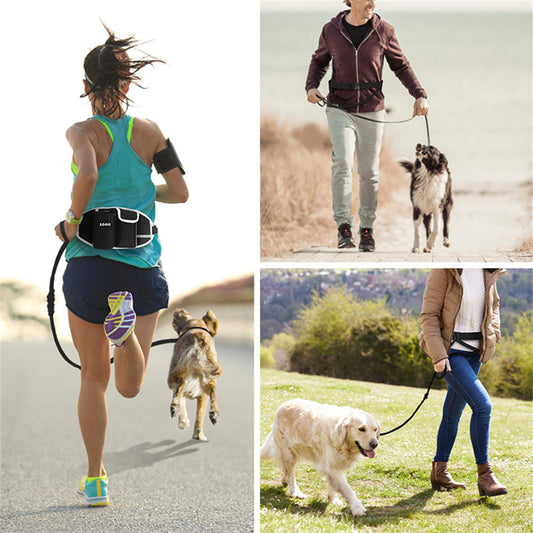Correa de Entrenamiento Manos Libres con Bolso de Cintura para Perros - nexbuy.com.mx