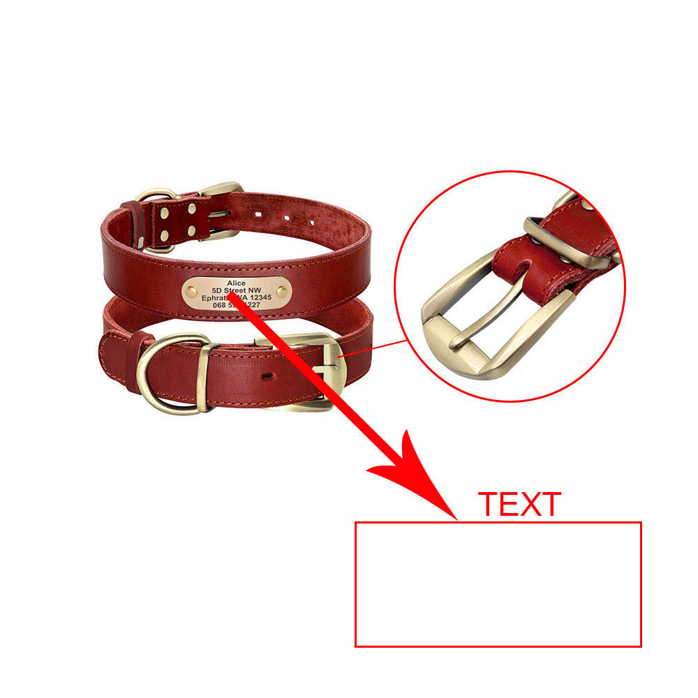 Collares personalizados con placas de identificación para perros medianos y grandes - nexbuy.com.mx