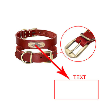 Collares personalizados con placas de identificación para perros medianos y grandes - nexbuy.com.mx