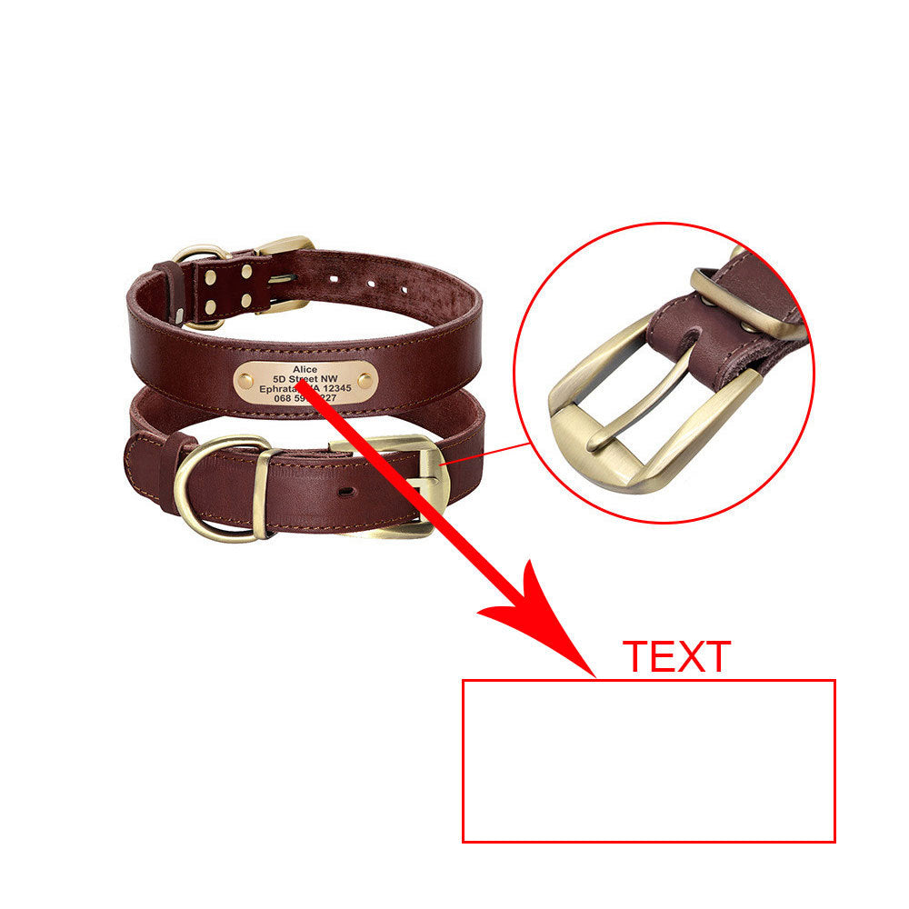 Collares personalizados con placas de identificación para perros medianos y grandes - nexbuy.com.mx