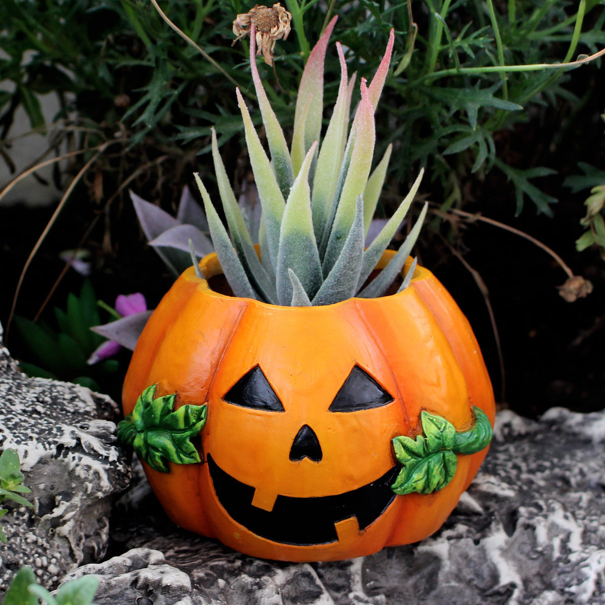 Maceta decorativa de calabaza - nexbuy.com.mx