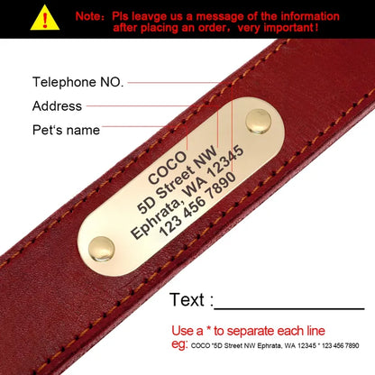 Collares personalizados con placas de identificación para perros medianos y grandes - nexbuy.com.mx