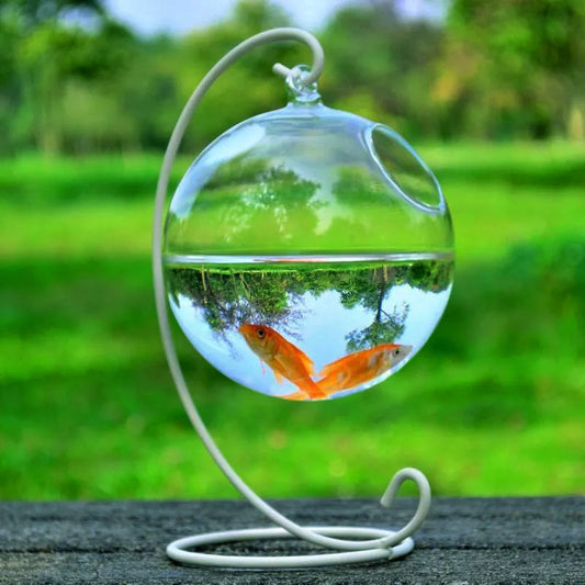 Pecera de Cristal Colgante – Diseño Decorativo Minimalista - nexbuy.com.mx