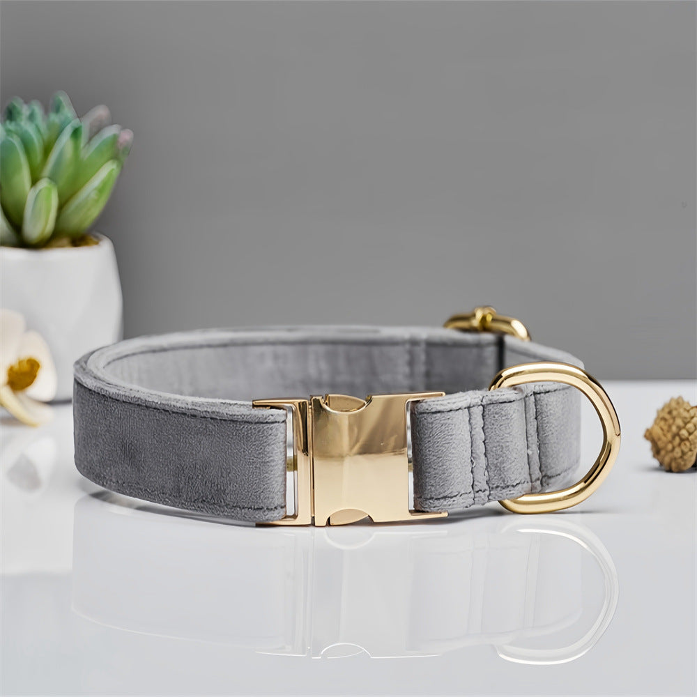 Collar estándar para perro de sujeción manual - nexbuy.com.mx