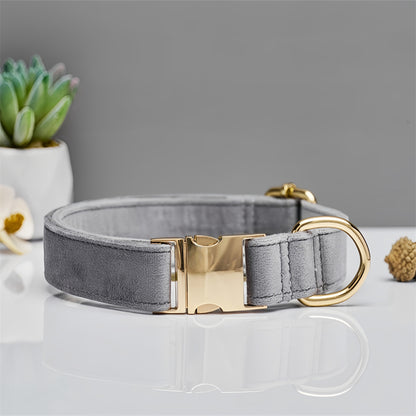 Collar estándar para perro de sujeción manual - nexbuy.com.mx