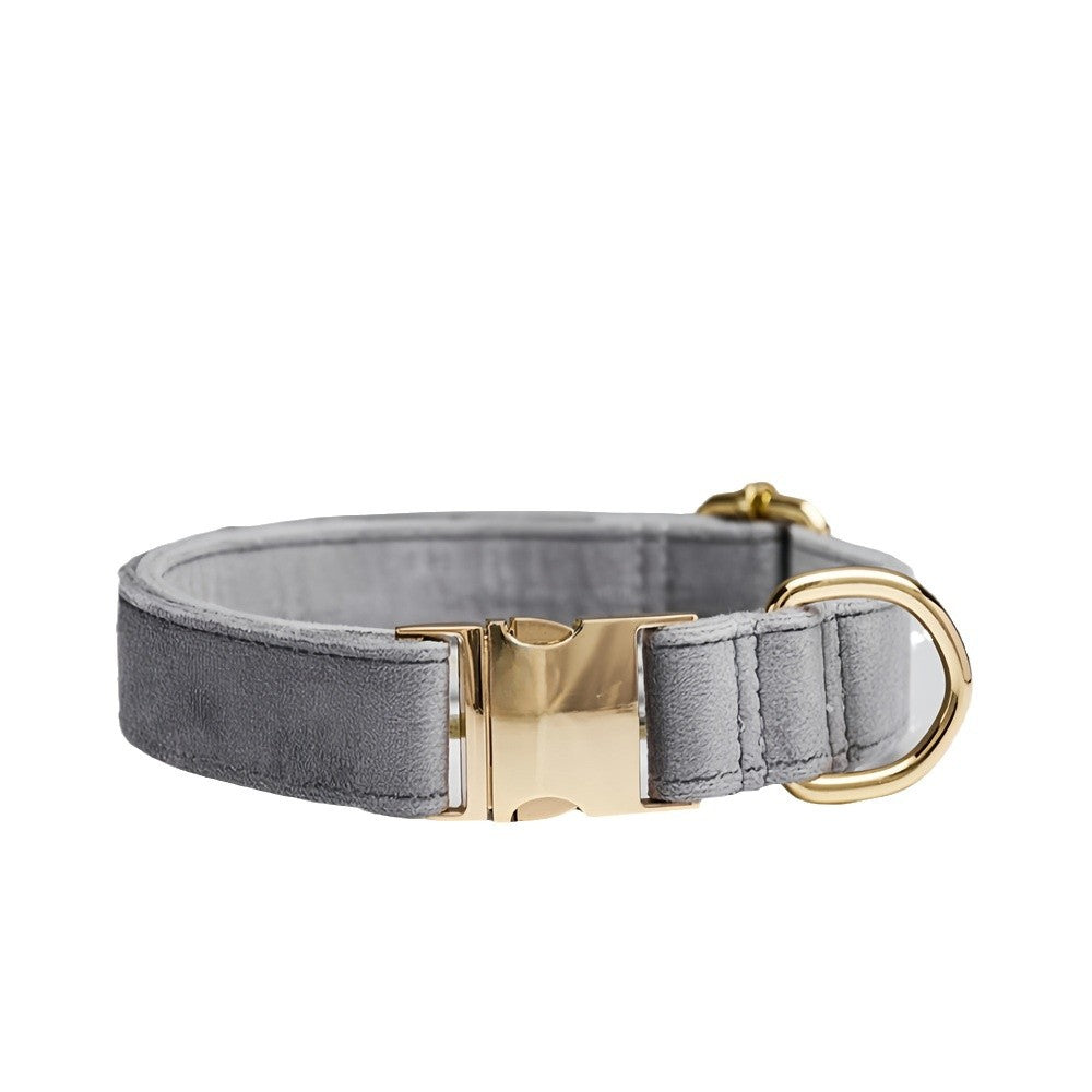 Collar estándar para perro de sujeción manual - nexbuy.com.mx