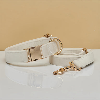 Collar estándar para perro de sujeción manual - nexbuy.com.mx
