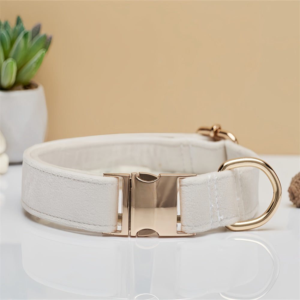 Collar estándar para perro de sujeción manual - nexbuy.com.mx