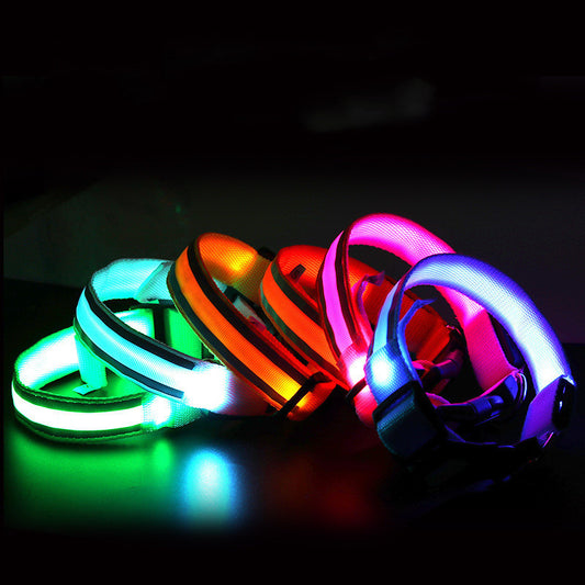 Collar Luminoso LED Anti-Pérdida para Perro - Seguridad y Estilo - nexbuy.com.mx