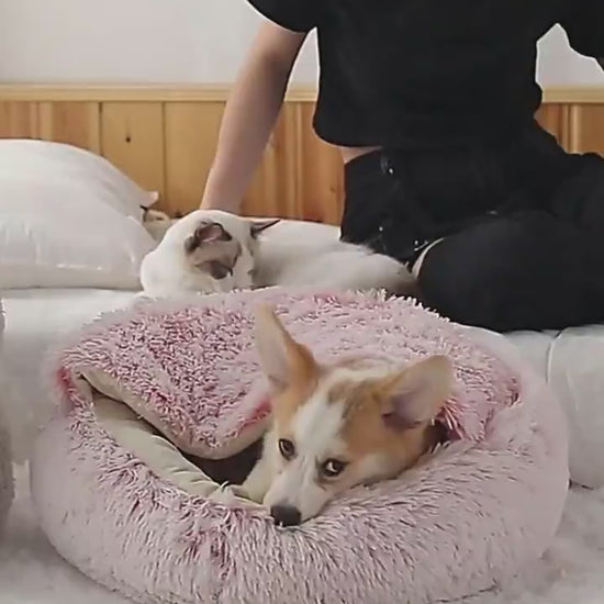 Cama Redonda 2 en 1 para Perros y Gatos - nexbuy.com.mx