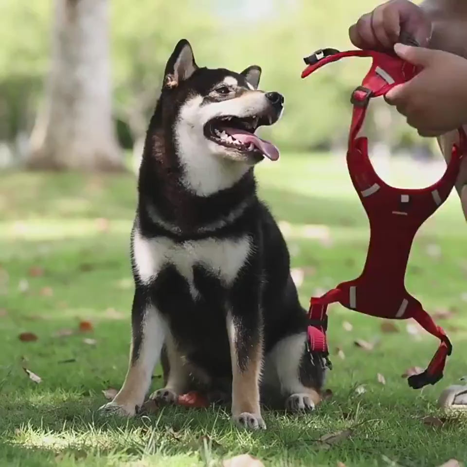 Arnés Chaleco Reflectante para Perros - nexbuy.com.mx