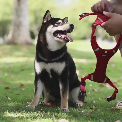 Arnés Chaleco Reflectante para Perros - nexbuy.com.mx